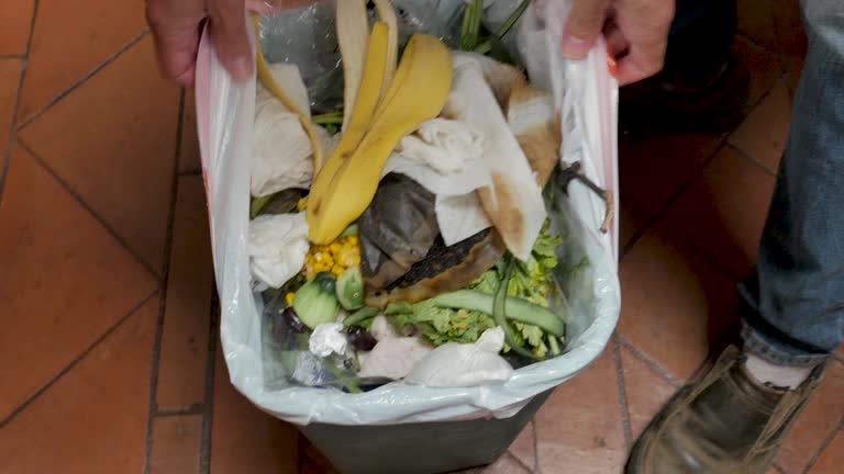 Best Yard Waste Removal  in Lowell, OR